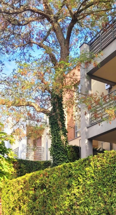 Apartament Wyspa, 2 Pokoje, Parking Gratis Międzywodzie Extérieur photo